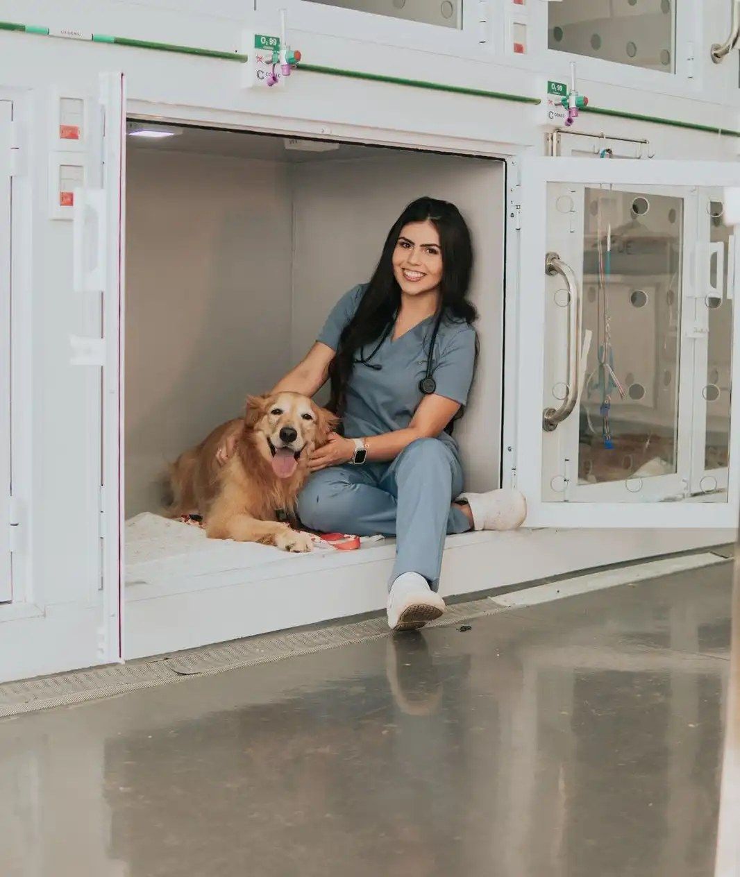Atendimento Vet Care Domicílio Blumenau