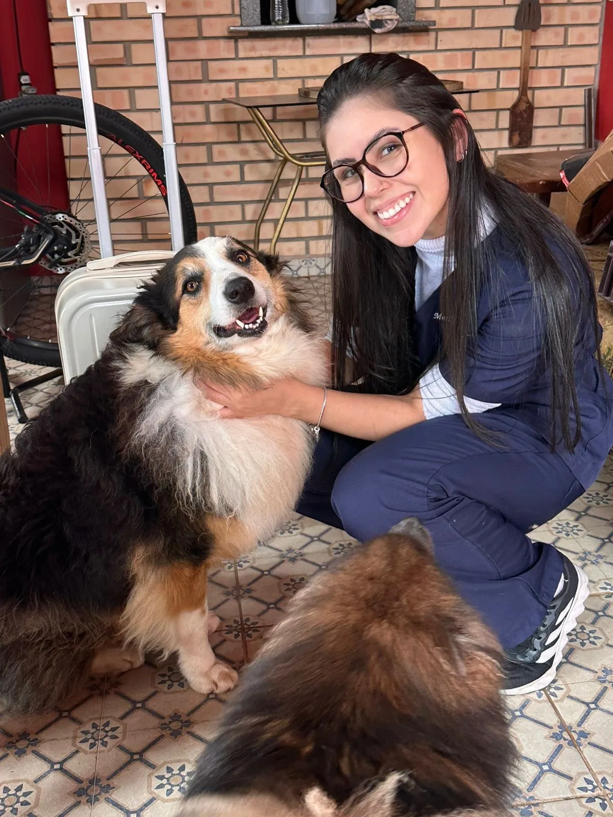 Vet Care Domicílio Blumenau