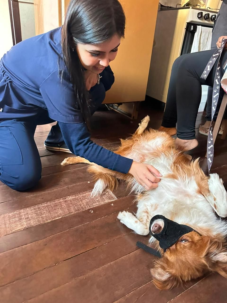 Vet Care Domicílio Blumenau
