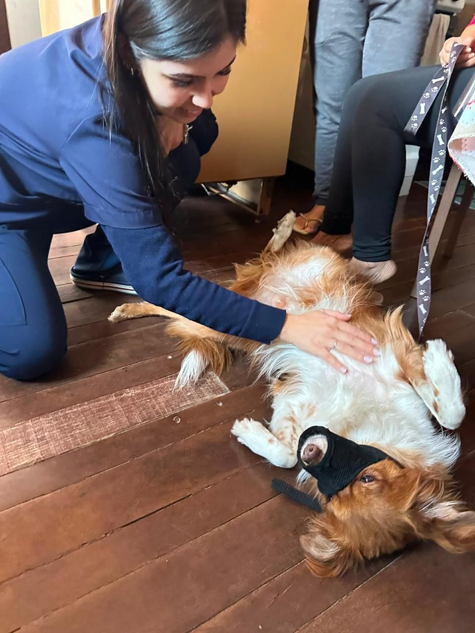Atendimento Vet Care Domicílio Blumenau